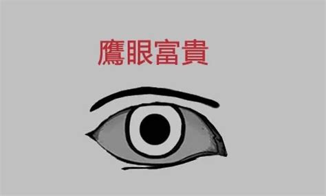 鷹眼面相男|解析面相中的鷹眼